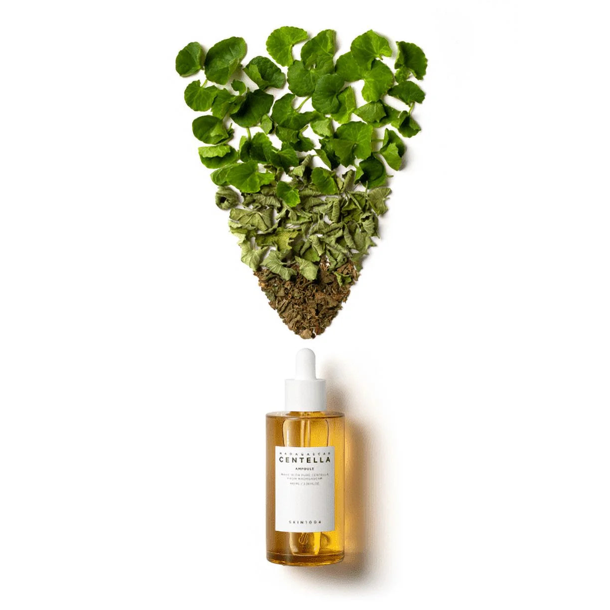 Madagascar Centella Ampoule 100Ml/3.38Oz