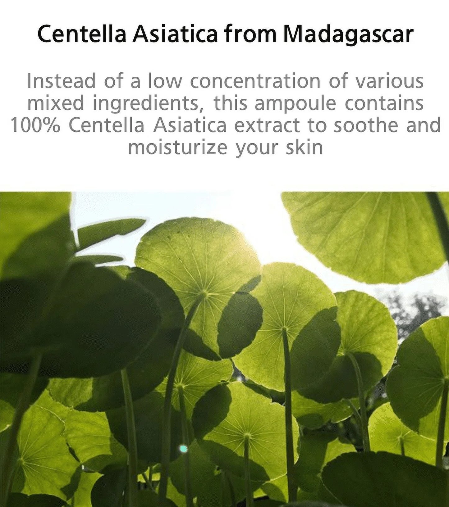 Madagascar Centella Ampoule 100Ml/3.38Oz